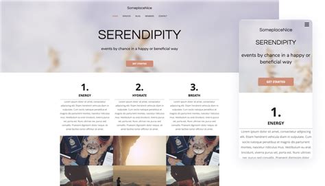 serendipity website.